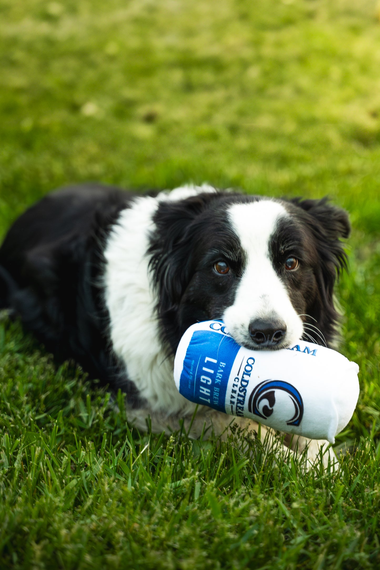 NS Light Beer Dog Toy